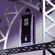 La Fille Tour de Fer faces la fille tour de fer