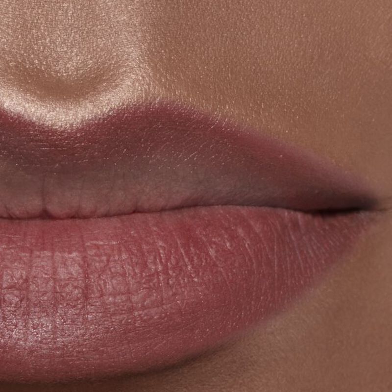 chanel le crayon levres