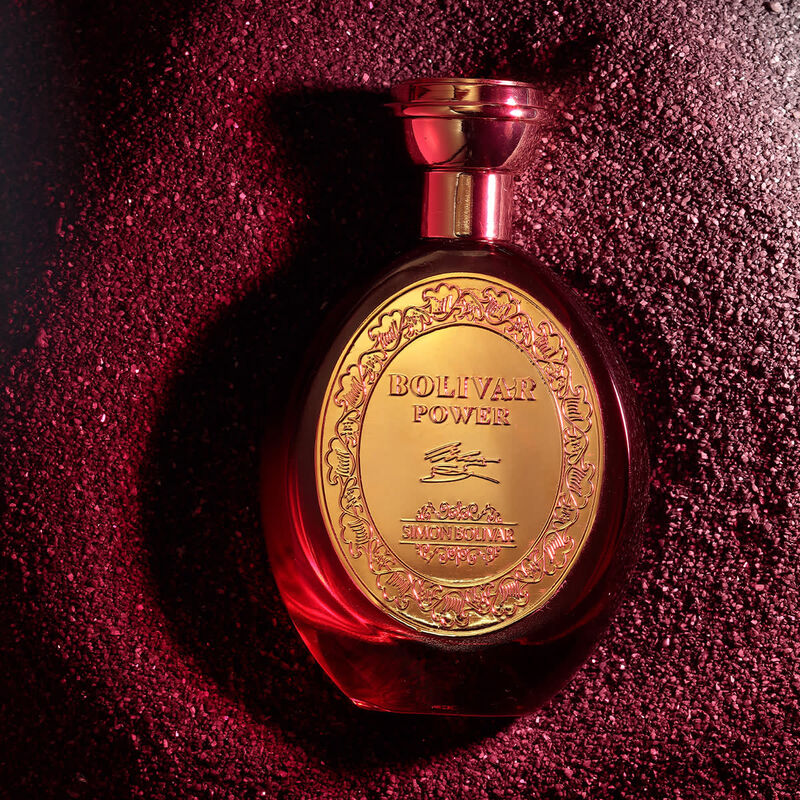 simon bolivar  power