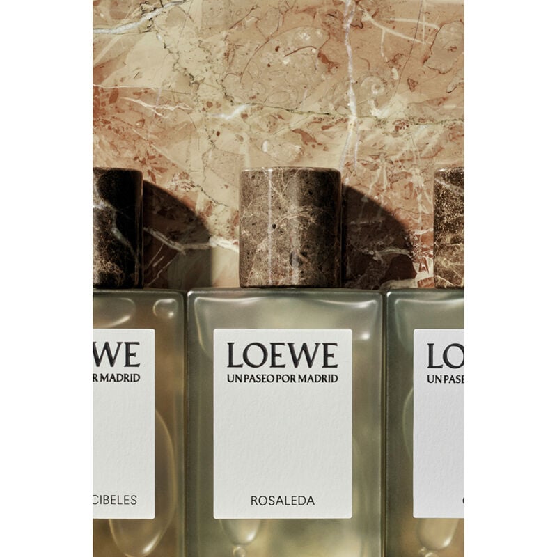 loewe un paseo por madrid la bella cibeles