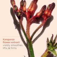 faces extra firm day ast 50ml