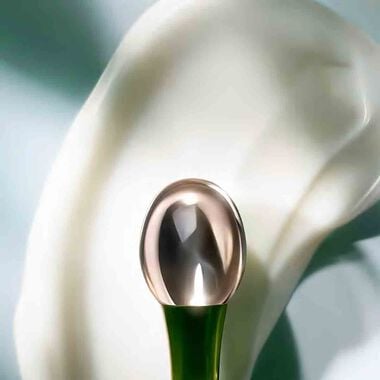 faces the eye concentrate cream 15ml