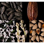 Good Girl Set faces good girl set