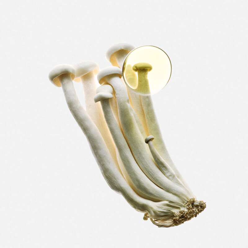 لووي عطر ارث إلكسير