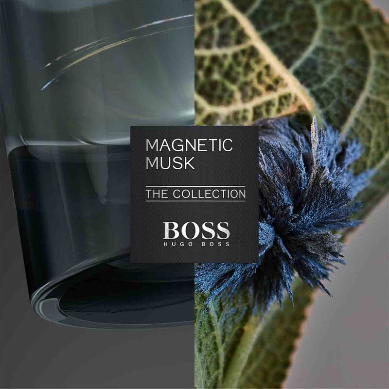 hugo boss boss the collection eau de parfum magnetic musk 100ml