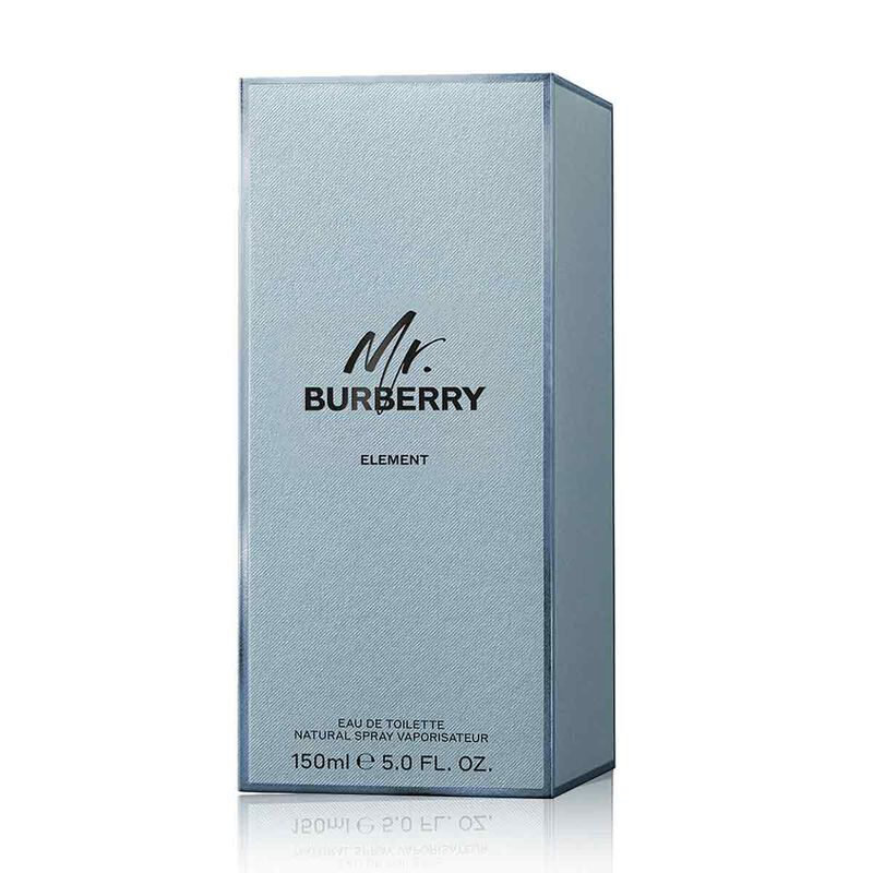 burberry burberry mr. burberry element eau de toilette
