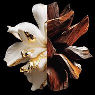 L'Interdit Parfum faces l interdit parfum