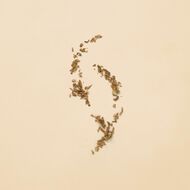 faces gucci guilty eau de toilette for her