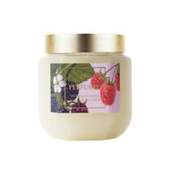 faces مقشّر الجسم المعطّر برائحة بوتانيكال بيري