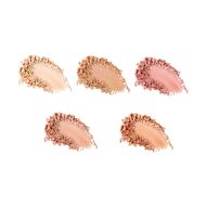 Face & Shades Contouring Palette faces face shades contouring palette