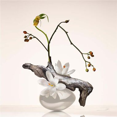 faces عطر عود ناكري