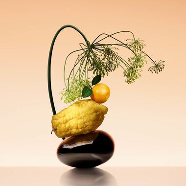 faces أورانج ميديتيراني