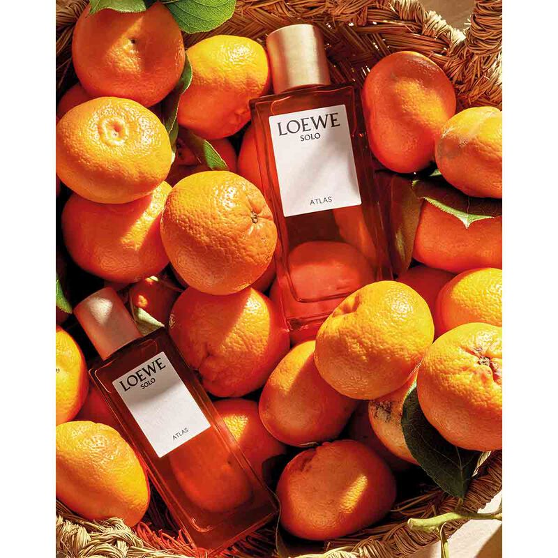 لووي سولو أطلس  أو دو برفان 100 مل