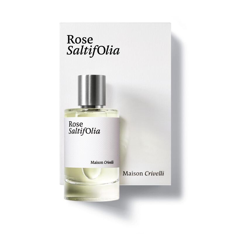 ميزون كريفلي روز سالتيفوليا