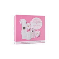 Beauty to Go - Sakura 2023 faces beauty to go sakura 2023