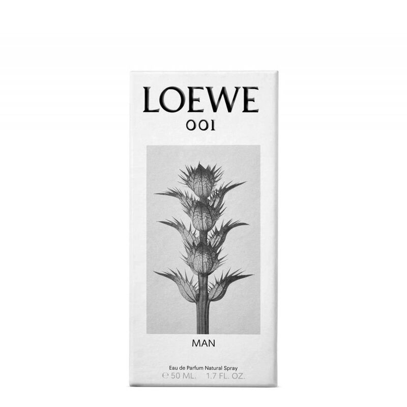 loewe loewe man 001 eau de parfum