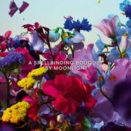 آبسولو أليغوريا فلورابلوم faces آبسولو أليغوريا فلورابلوم