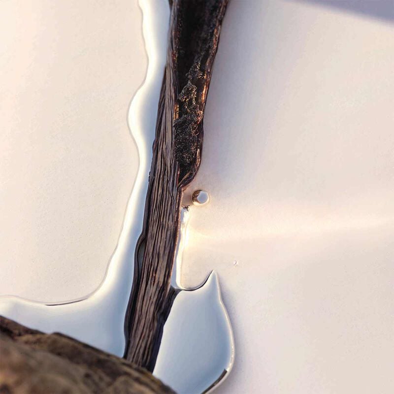 hugo boss boss alive