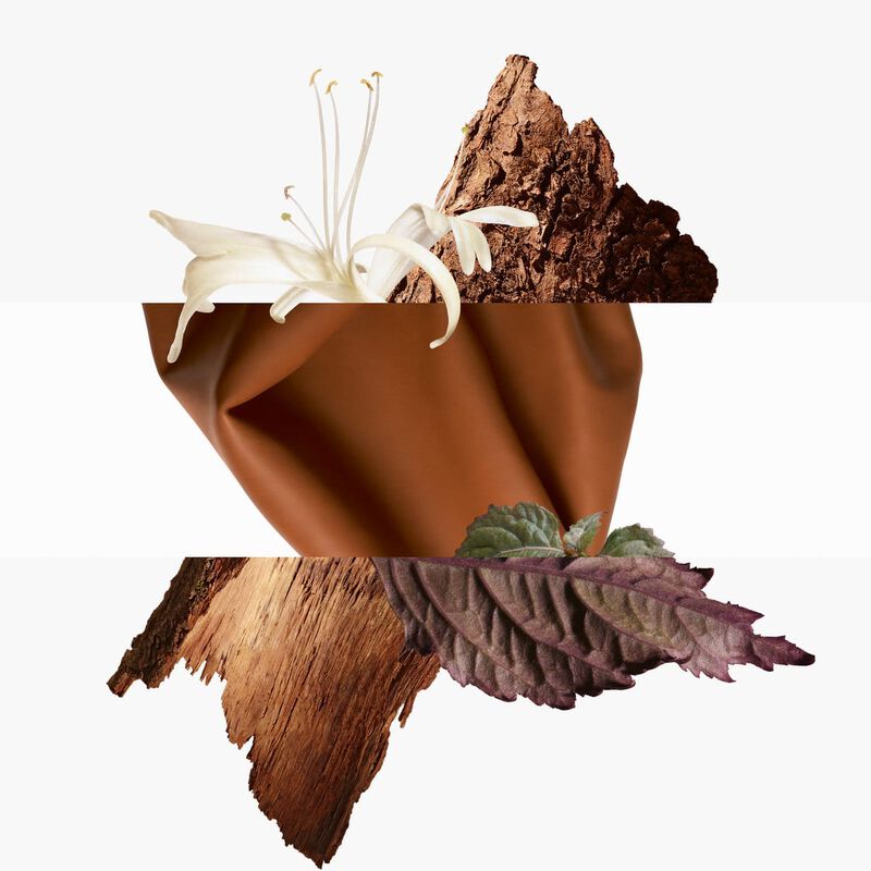 hermes barenia intense