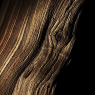 faces santal royal eau de parfum