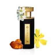 REEF 36 faces reef 36