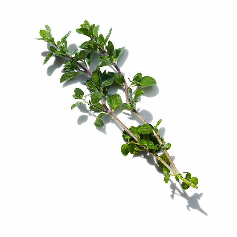 shiseido ultimune power infusing eye concentrate 15ml