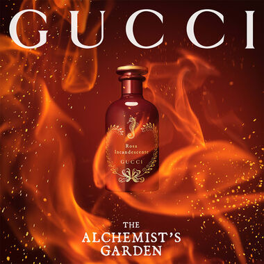 faces ذا ألكيميستس غاردِن روزا إندكاندشينتي