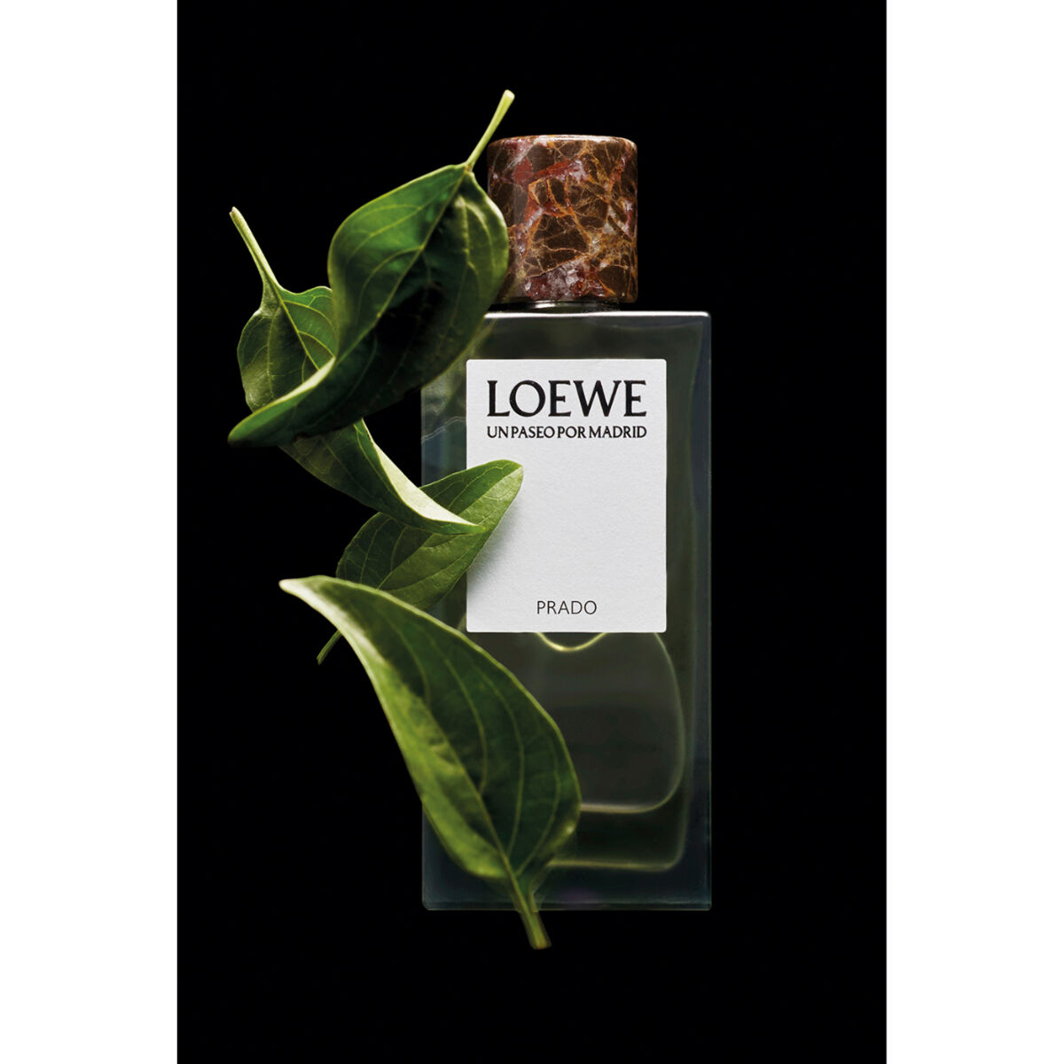 Loewe Un Paseo Por Madrid Prado