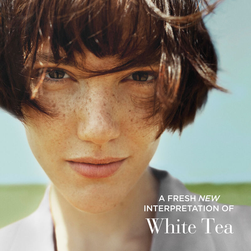 elizabeth arden white tea eau fraiche