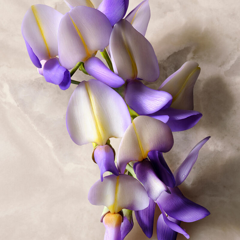 غوتشي غوتشي غيلتي  للنساء أو  دو برفان