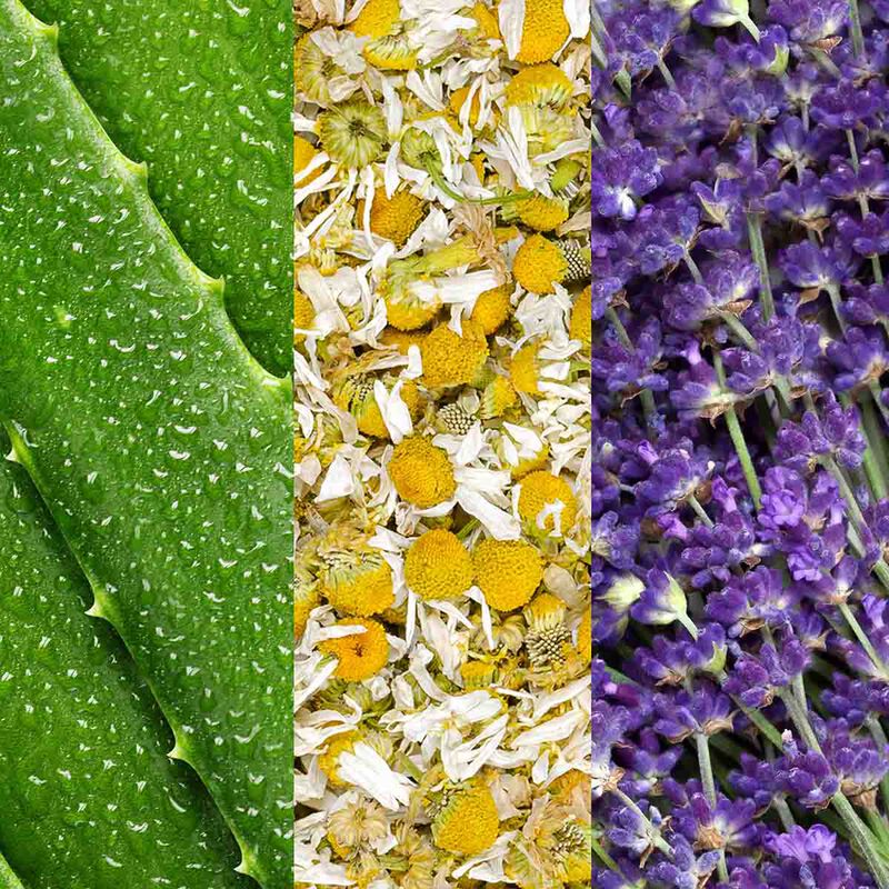 mario badescu facial spray with aloe, chamomile and lavender