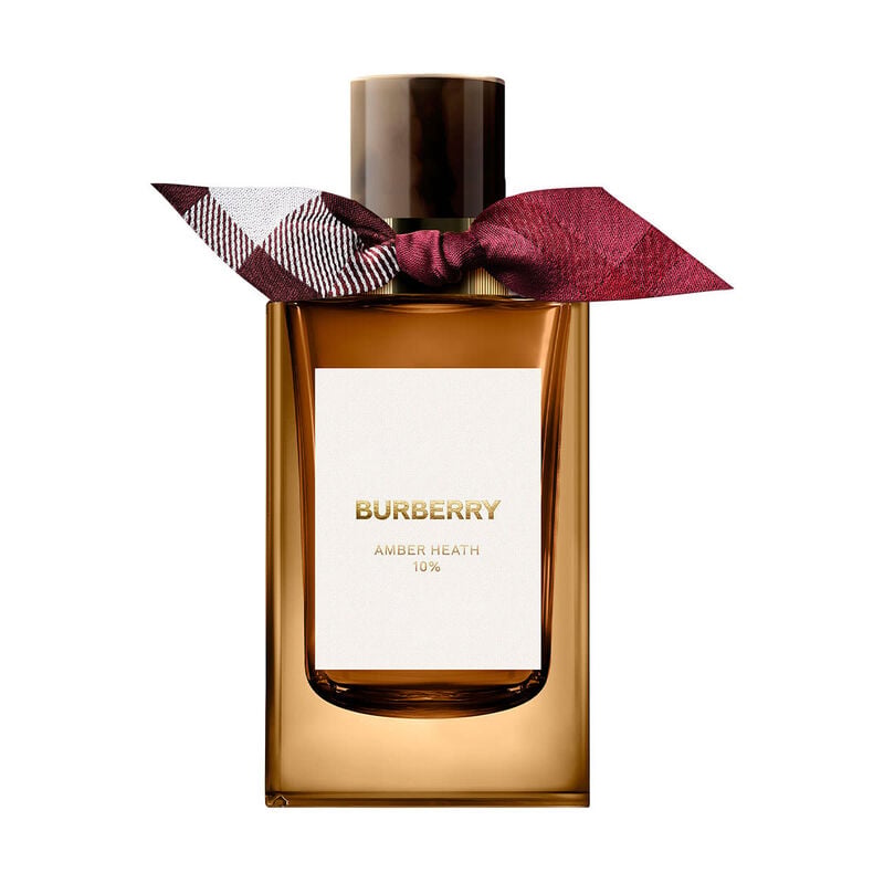 عطر سيجنتشرز أمبر هيث