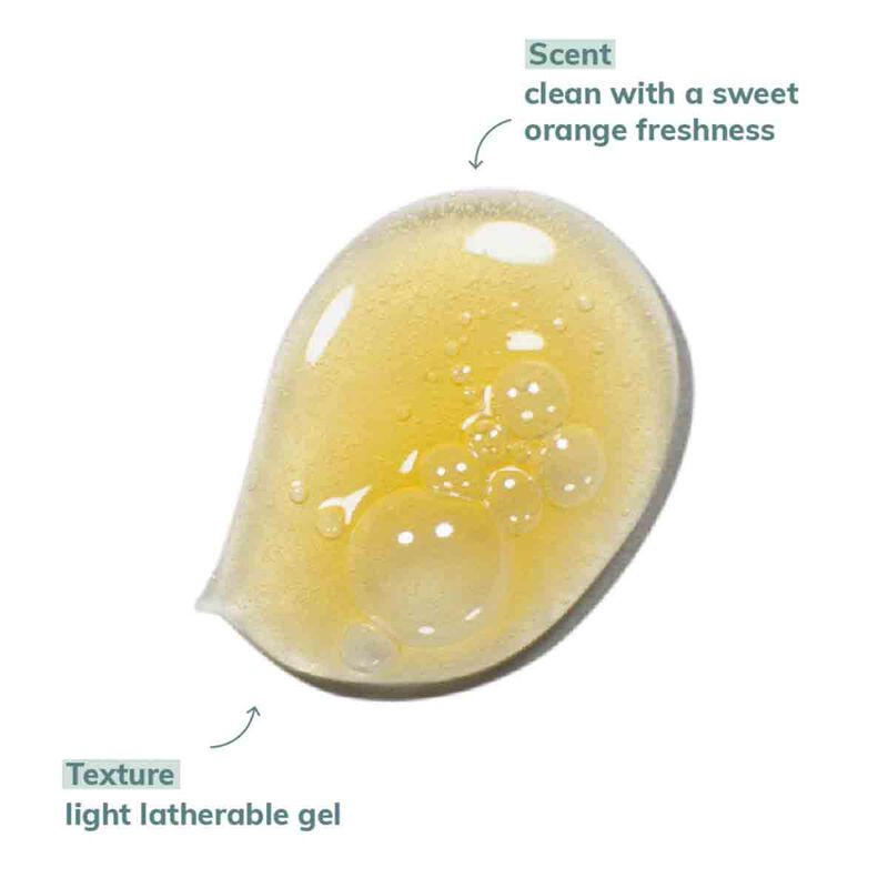 أبيسيان شامبو مرطب ومكثف