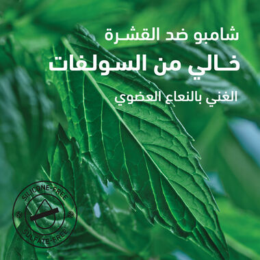 faces شامبو ضد القشرة