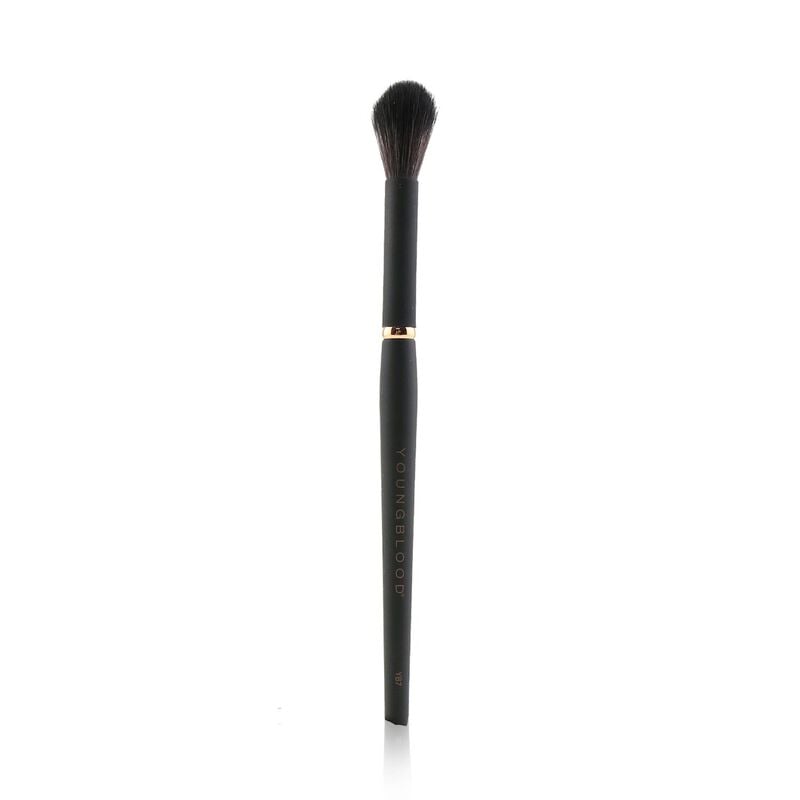 youngblood yb7 highlight brush