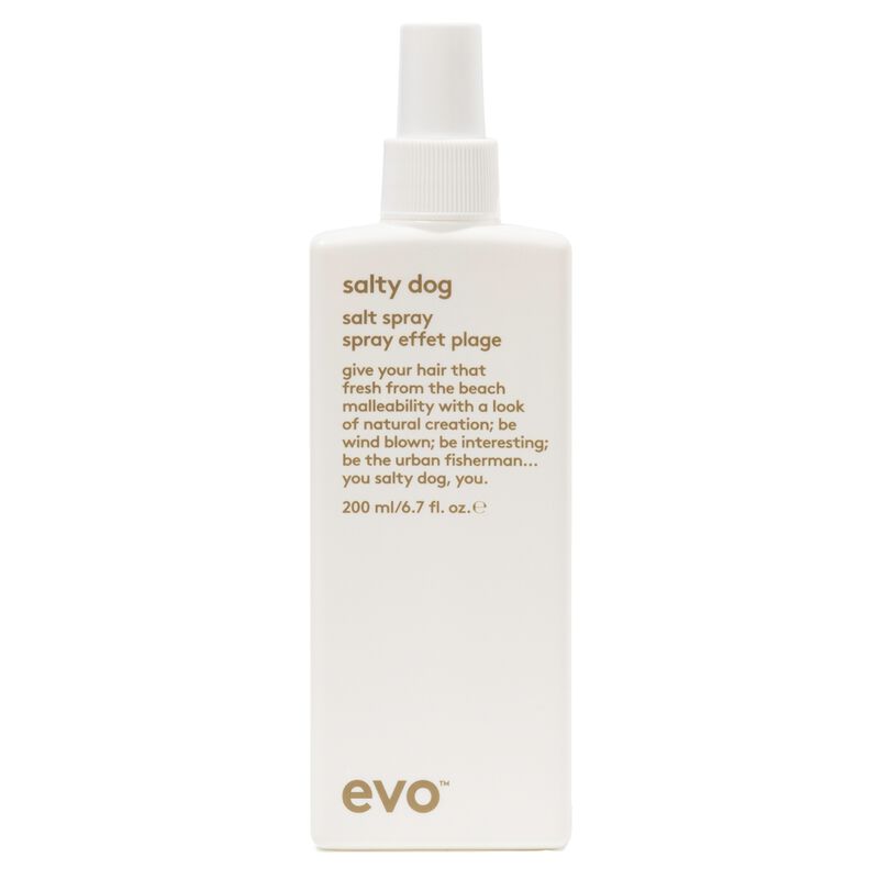 evo salty dog salt spray