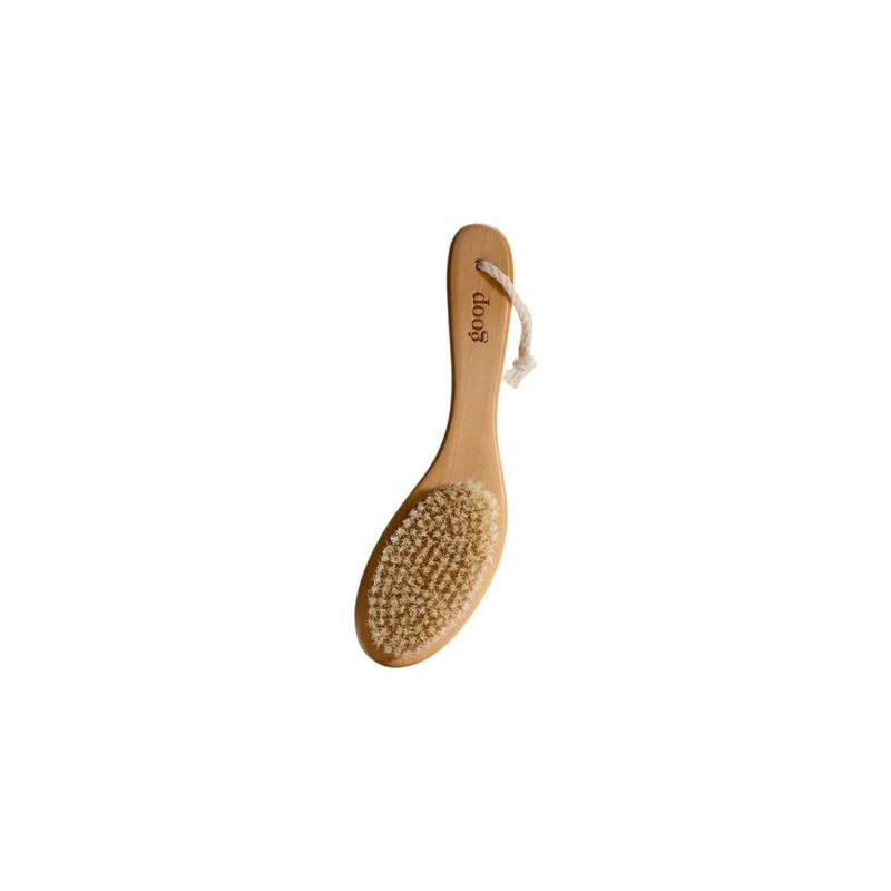 goop g.tox ultimate dry brush