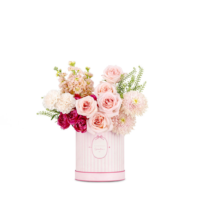 بلومينغ بوكس بوكس البيستيز