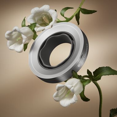 faces جلوري مكس