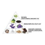 faces عطر إل أفنتشر نايت