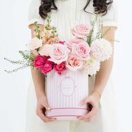 faces بوكس البيستيز