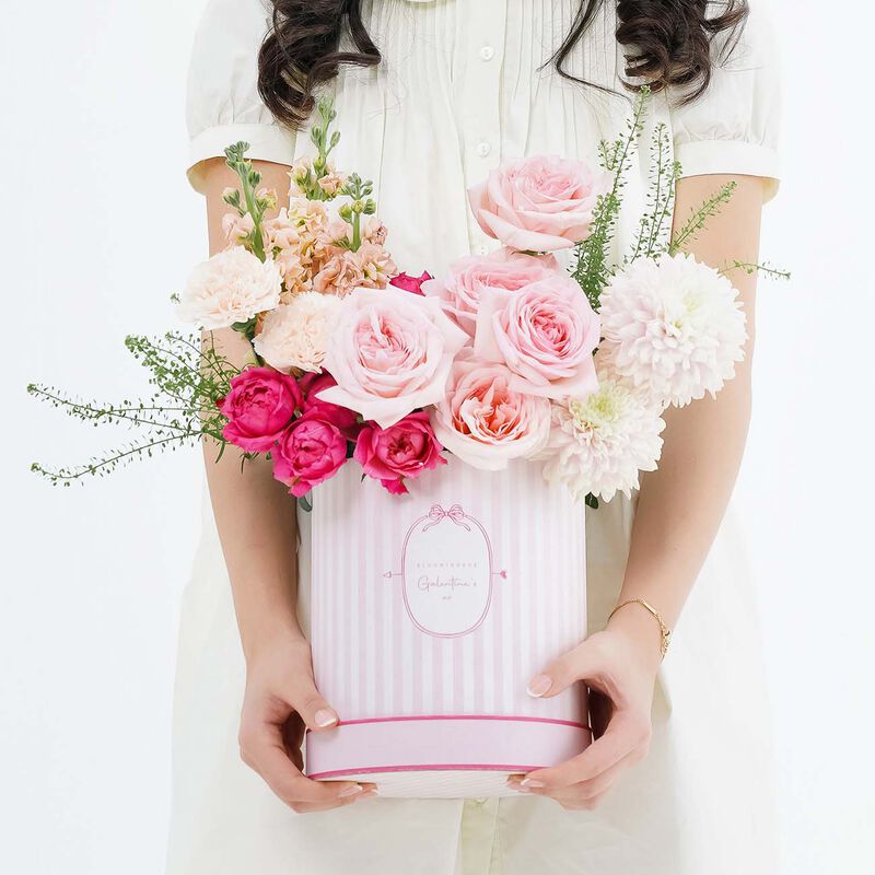 بلومينغ بوكس بوكس البيستيز