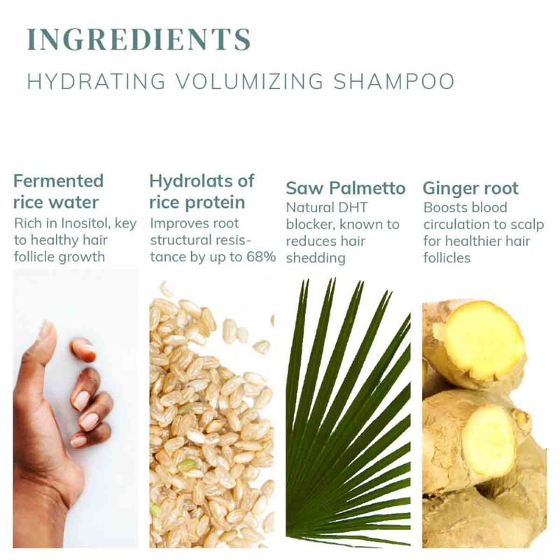 أبيسيان شامبو مرطب ومكثف