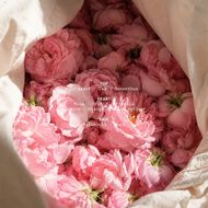 زيت إيرث لوف العطري رول أون faces زيت إيرث لوف العطري رول أون