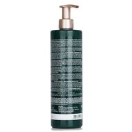 faces absolue k  ratine renewal care repairing shampoo   damaged  over processed hair