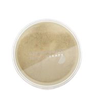 DermaMinerals Buildable Coverage Loose Mineral Powder SPF 20 faces dermaminerals buildable coverage loose mineral powder spf 20