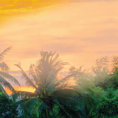 faces معطر الجسم والشعر   بخلاصة المانغو