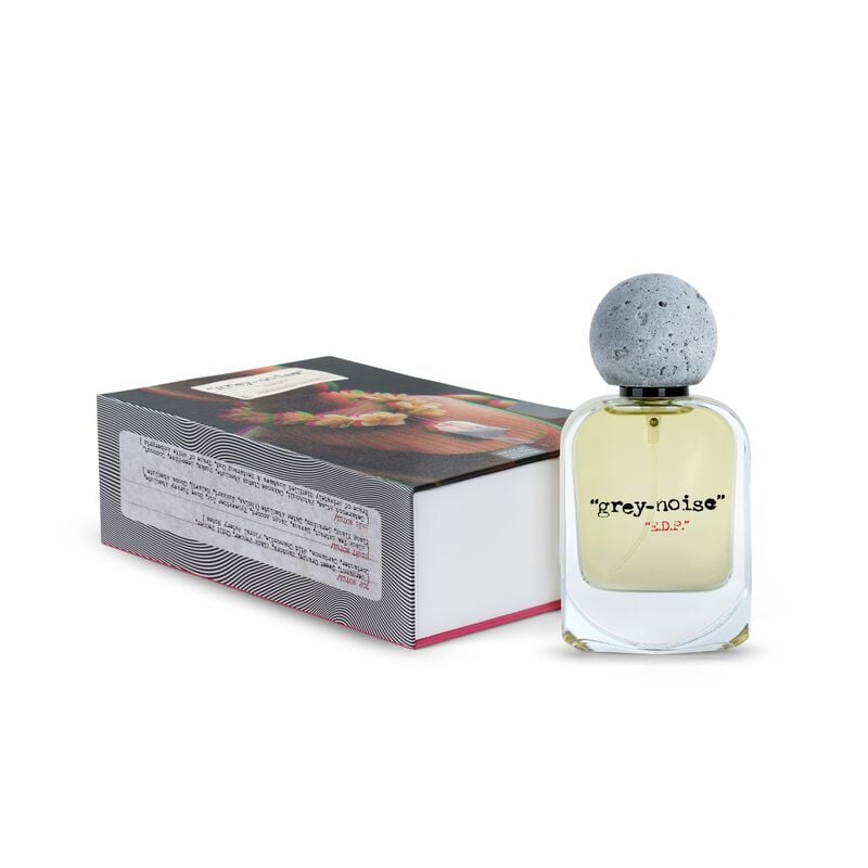 house of 1984 grey noise