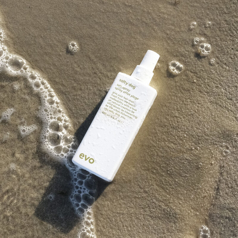 evo salty dog salt spray