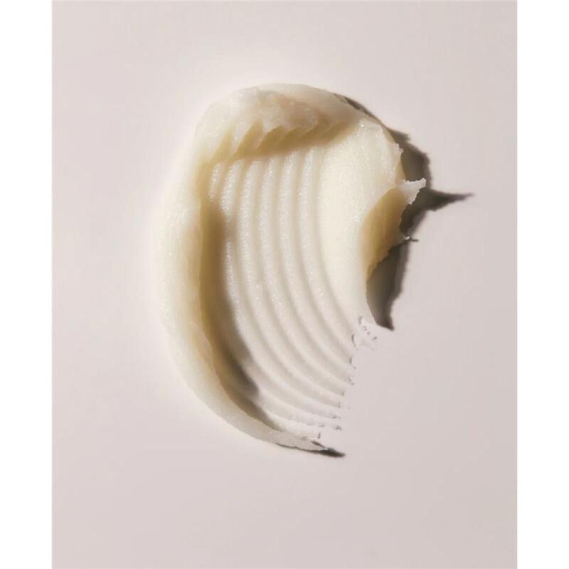 sahajan lip karma lip balm in mint